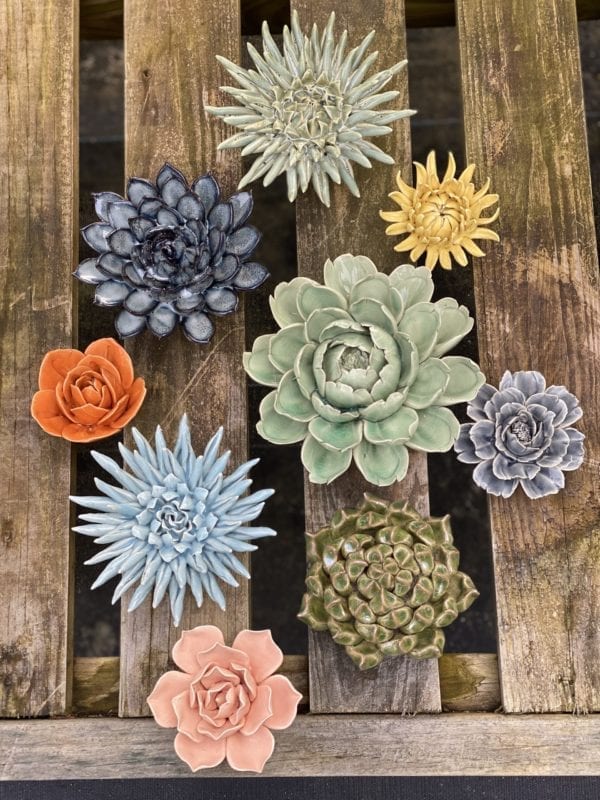 variety of succulents on wood pallet
